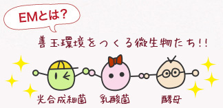 EMとは？発酵力の高い善玉菌の結晶！！