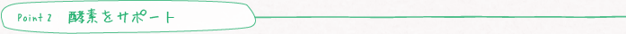 point2　代謝機能をサポート